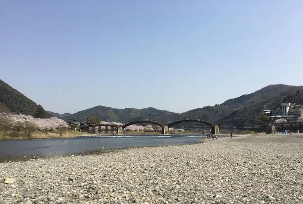 錦帯橋の写真・動画_image_187747