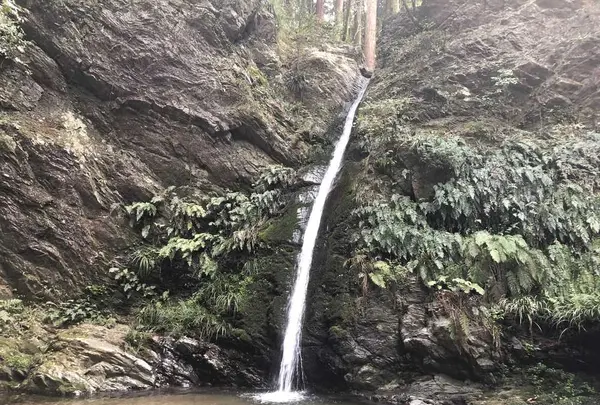 宿谷の滝の写真・動画_image_188104