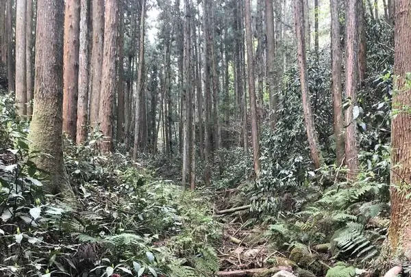 宿谷の滝の写真・動画_image_188105