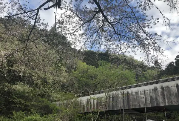 宿谷の滝の写真・動画_image_188106