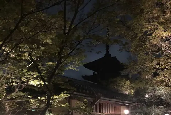 THE SODOH HIGASHIYAMA KYOTO （ザソウドウ）の写真・動画_image_188212