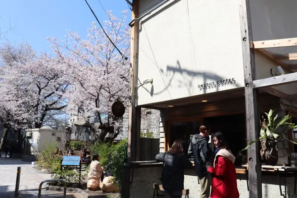オニバスコーヒー 中目黒店 （ONIBUS COFFEE NAKAMEGURO）の写真・動画_image_188367
