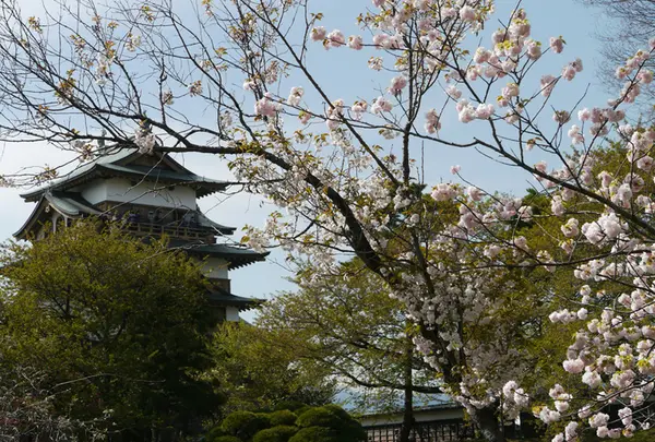 高島城の写真・動画_image_188508