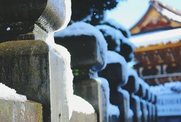 成田山新勝寺の写真・動画_image_188683