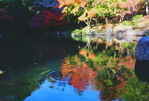 成田山公園の写真・動画_image_188705