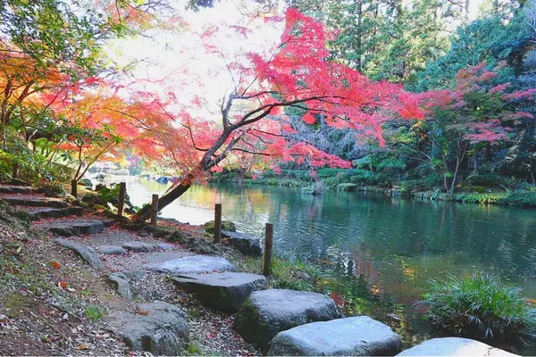成田山公園の写真・動画_image_188706