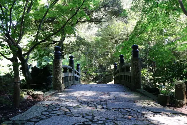 成田山公園の写真・動画_image_188722