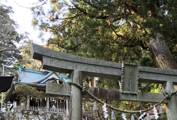 玉置神社の写真・動画_image_189239