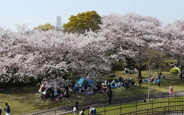 本牧山頂公園の写真・動画_image_189366