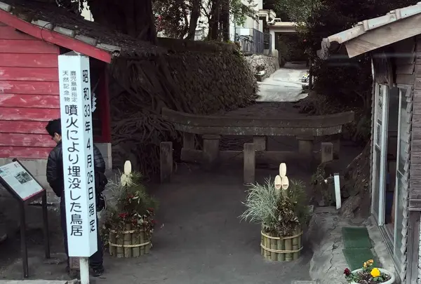 桜島の写真・動画_image_189661