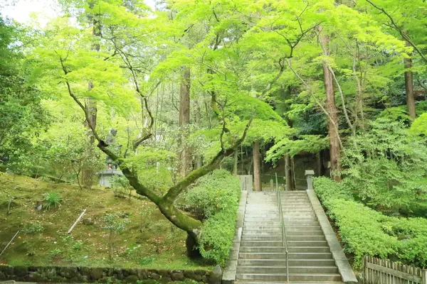 今熊野観音寺の写真・動画_image_189990