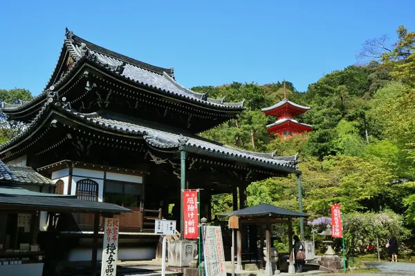 今熊野観音寺の写真・動画_image_189992