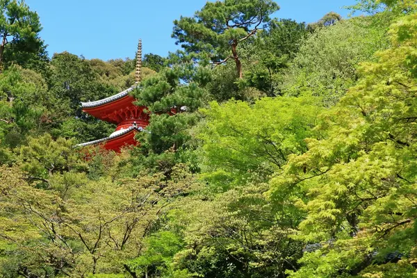 今熊野観音寺の写真・動画_image_189993