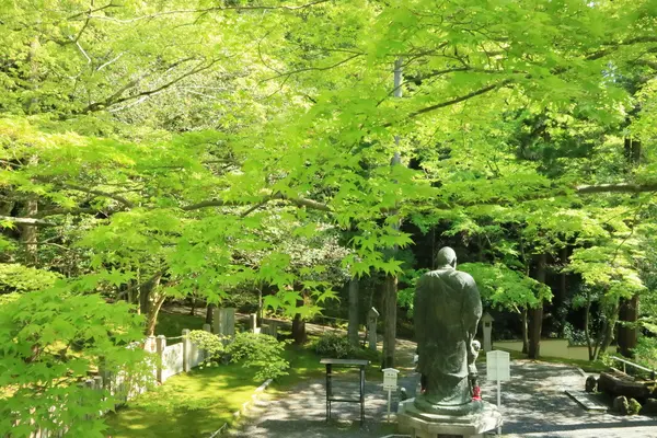 今熊野観音寺の写真・動画_image_189999