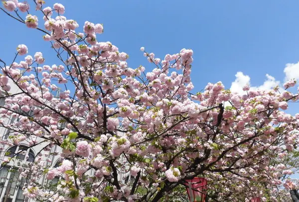 造幣博物館の写真・動画_image_190940