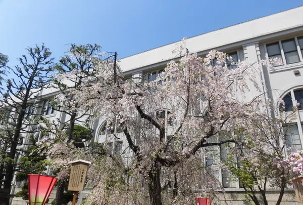 造幣博物館の写真・動画_image_190941