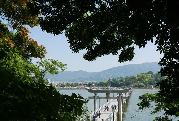 竹島の写真・動画_image_191159