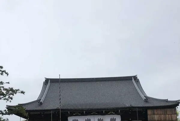 高田本山専修寺の写真・動画_image_191812