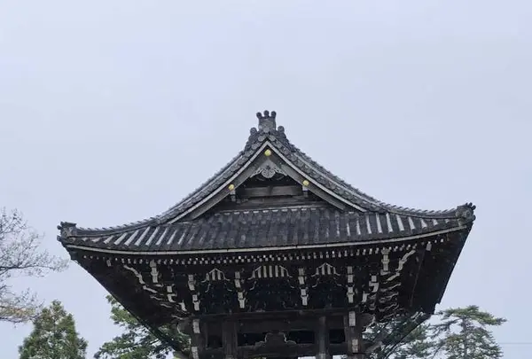 高田本山専修寺の写真・動画_image_191814