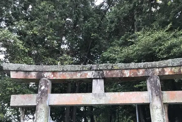 草薙神社の写真・動画_image_192255