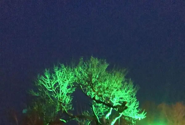 小樽天狗山ロープウェイの写真・動画_image_194103