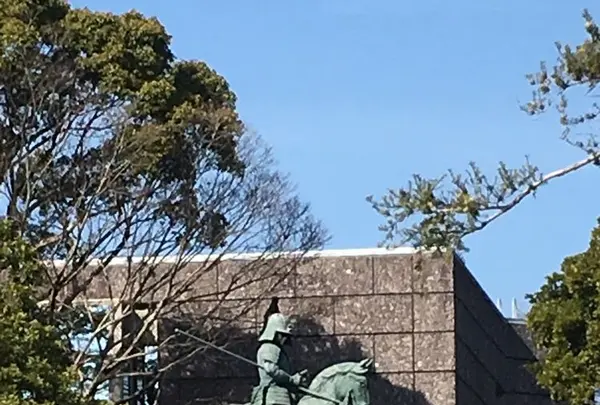 高知城の写真・動画_image_194245