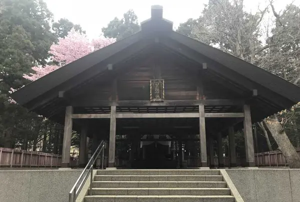 北海道神宮の写真・動画_image_194879