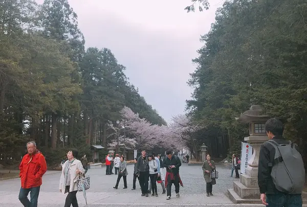 北海道神宮の写真・動画_image_194882