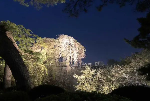 弘前公園の写真・動画_image_194896