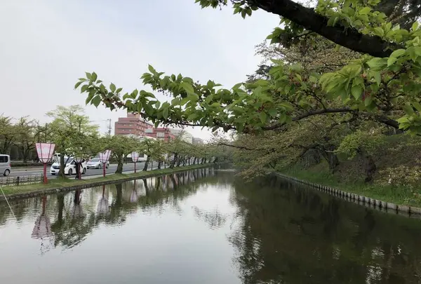 弘前公園の写真・動画_image_194898