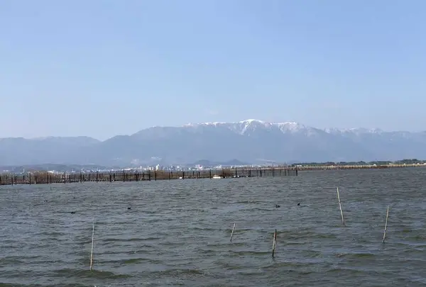 琵琶湖の写真・動画_image_195024
