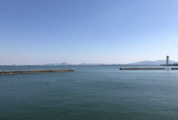 琵琶湖の写真・動画_image_195031