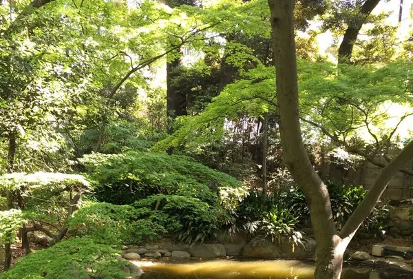 東京都庭園美術館の写真・動画_image_195168