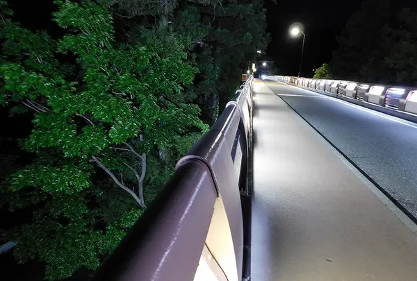 奥多摩橋の写真・動画_image_195413