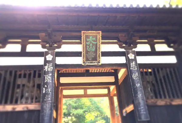 太山寺の写真・動画_image_196003