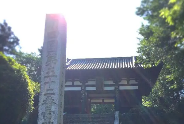 太山寺の写真・動画_image_196004