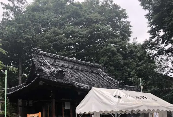 川越熊野神社の写真・動画_image_196858