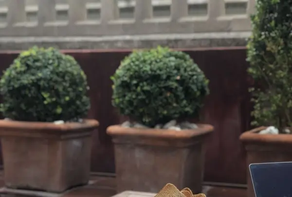 Hotel 1898の写真・動画_image_198050