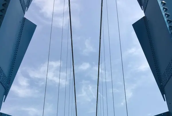 竜神大吊橋の写真・動画_image_198484