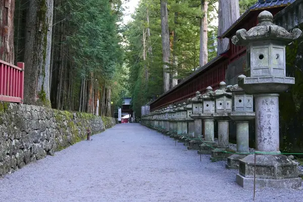 日光二荒山神社の写真・動画_image_199356