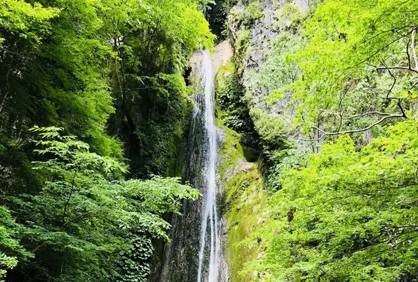 絹掛の滝の写真・動画_image_200255