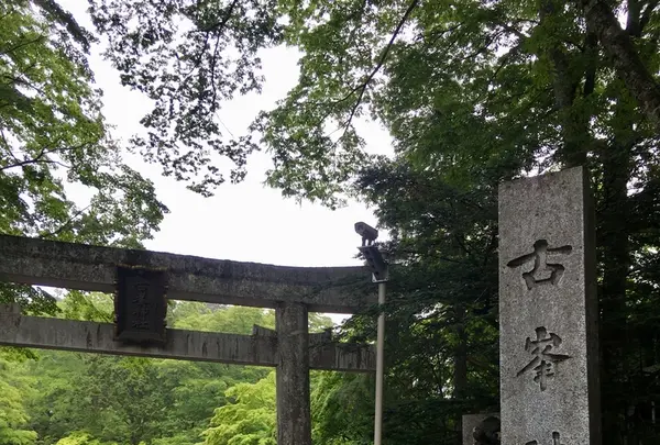 古峯神社の写真・動画_image_202772