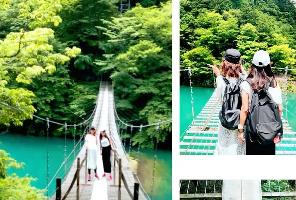 夢の吊橋の写真・動画_image_203252