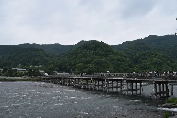 渡月橋の写真・動画_image_204041