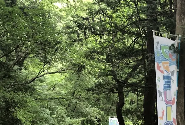 智光山公園前山池の写真・動画_image_204401