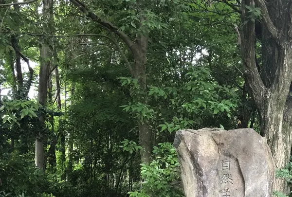 智光山公園子供動物園の写真・動画_image_204422