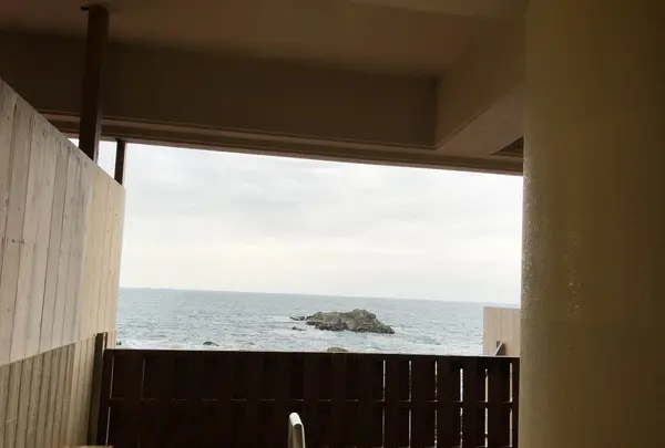 ホテル浦島の写真・動画_image_204672