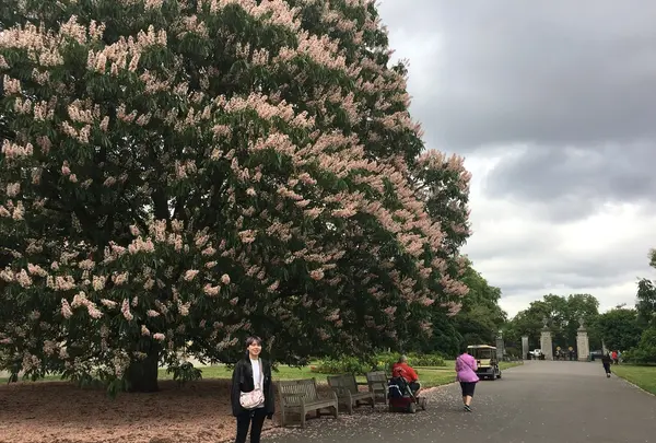 ロイヤル・ボタニック・ガーデンズ, キュー（Royal Botanic Gardens, Kew）の写真・動画_image_205004