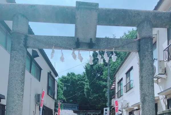 川越熊野神社の写真・動画_image_205121