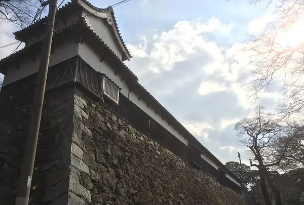 福岡城跡の写真・動画_image_20607